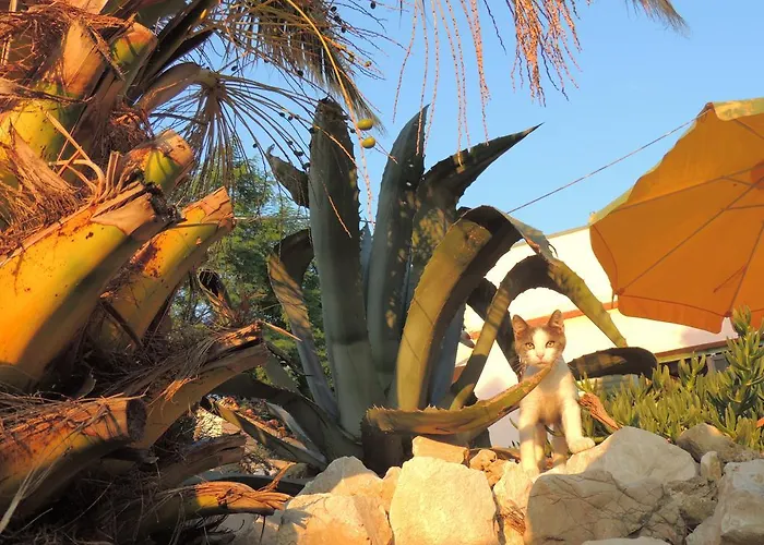 Διαμέρισμα Antonela&andrej *