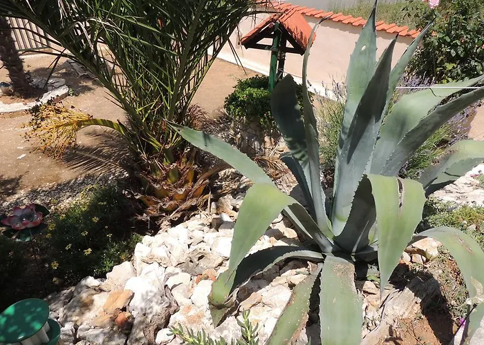 Antonela&andrej Privlaka (Zadar)