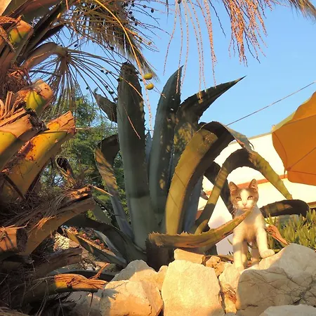 Apartman Apartmani Antonela&Andrej *