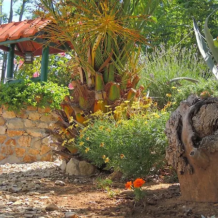 Apartmani Antonela&Andrej Privlaka (Zadar)